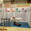Подвесные плакаты с зажимным профилем