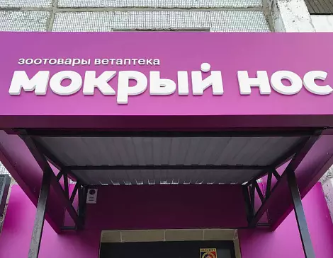 1. Козырек над входом. 